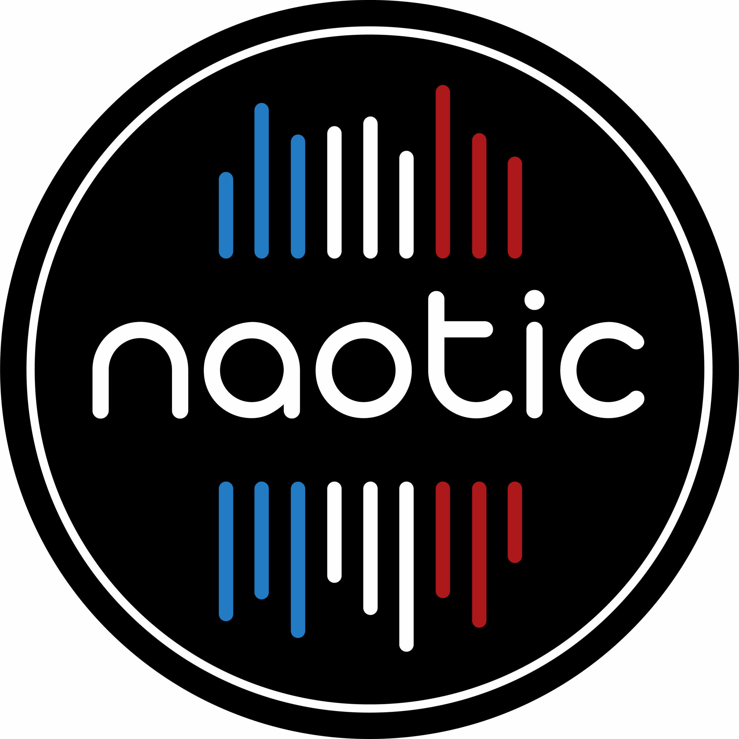 NAOTIC LOGO