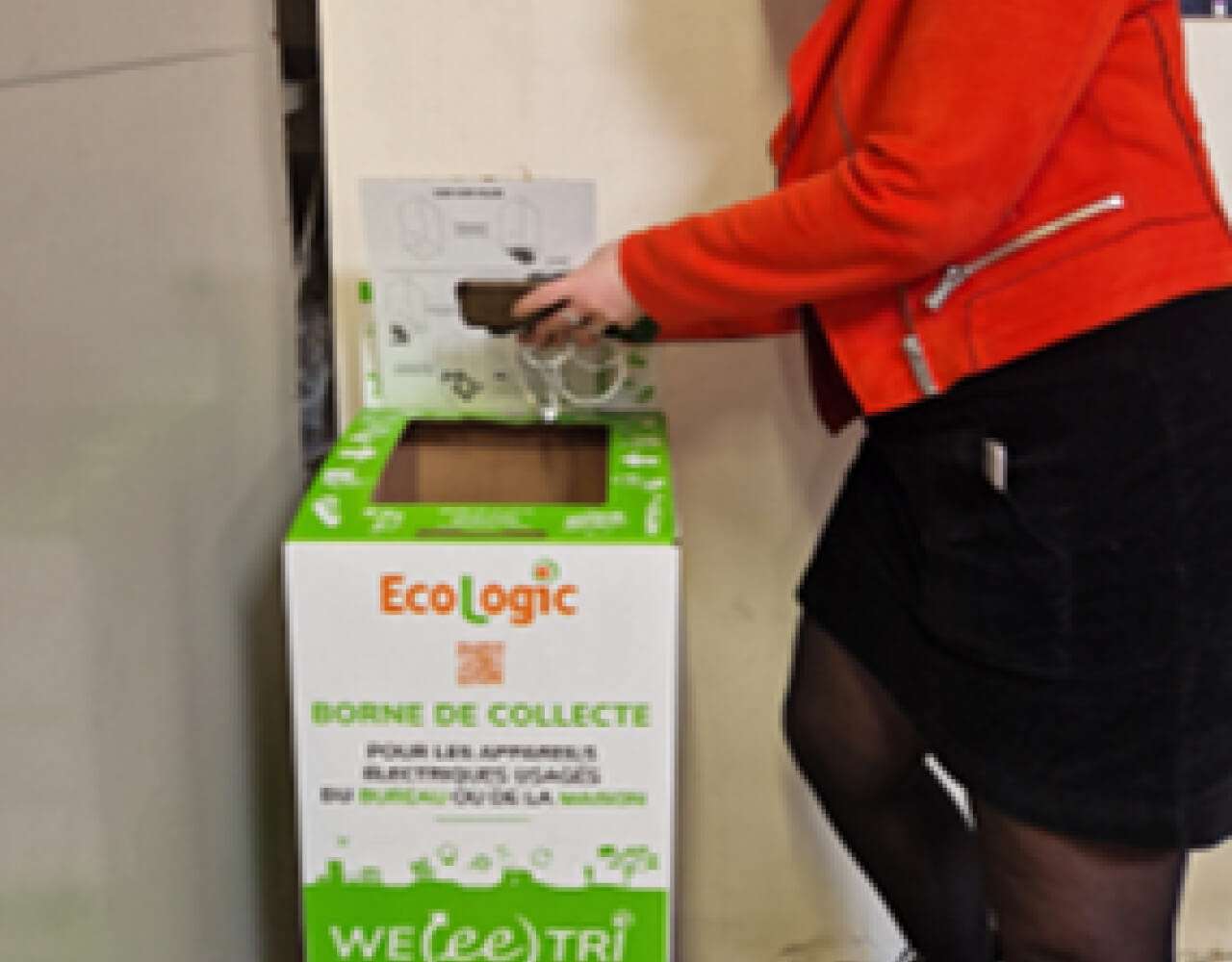 Impact-developpment-Digital Clean Up Day 2025