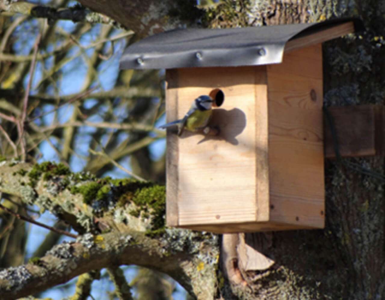 Impact-developpment-biodiversite