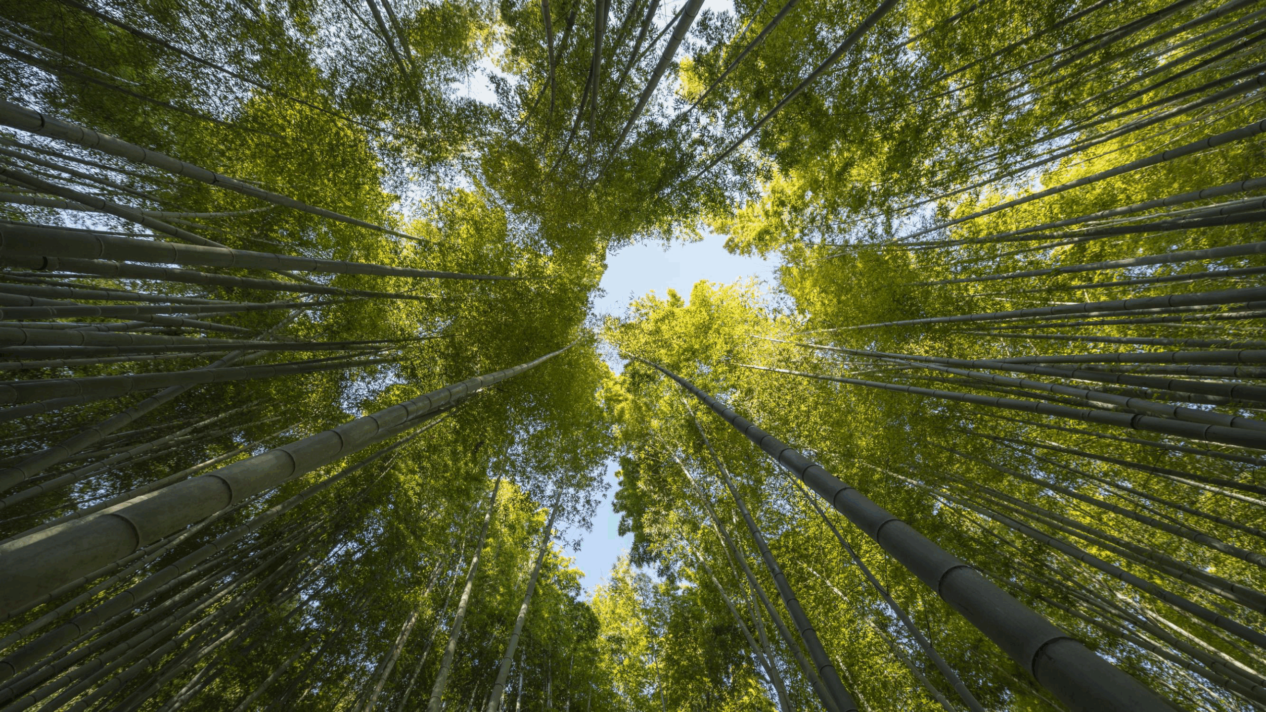 Heliaq-Impact-Contact