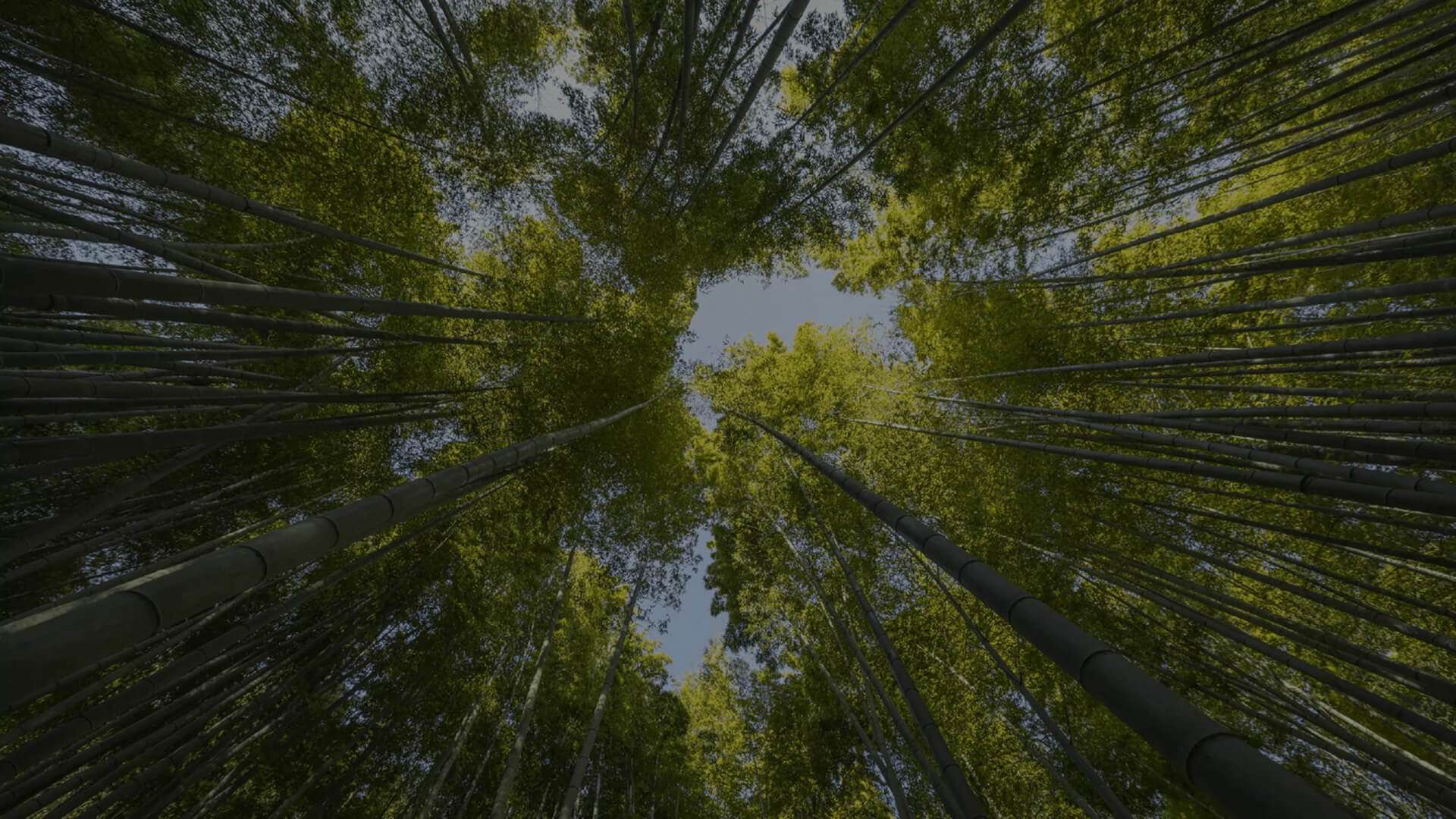 Heliaq-bandeau-impact