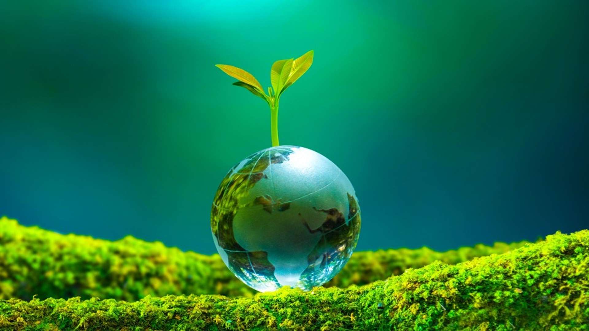 Globe terrestre transparent en verre posé sur de la mousse, surmonté d'une jeune pousse verte, illustrant la durabilité et la protection de l'environnement.