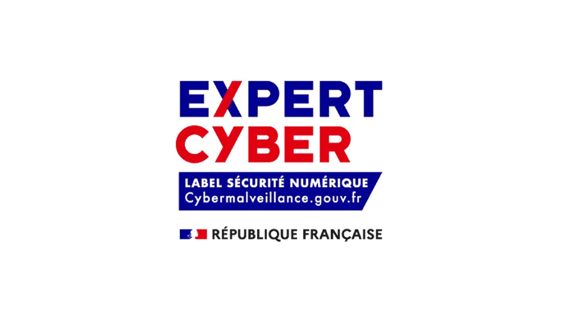 Label-expert-cyber.jpg