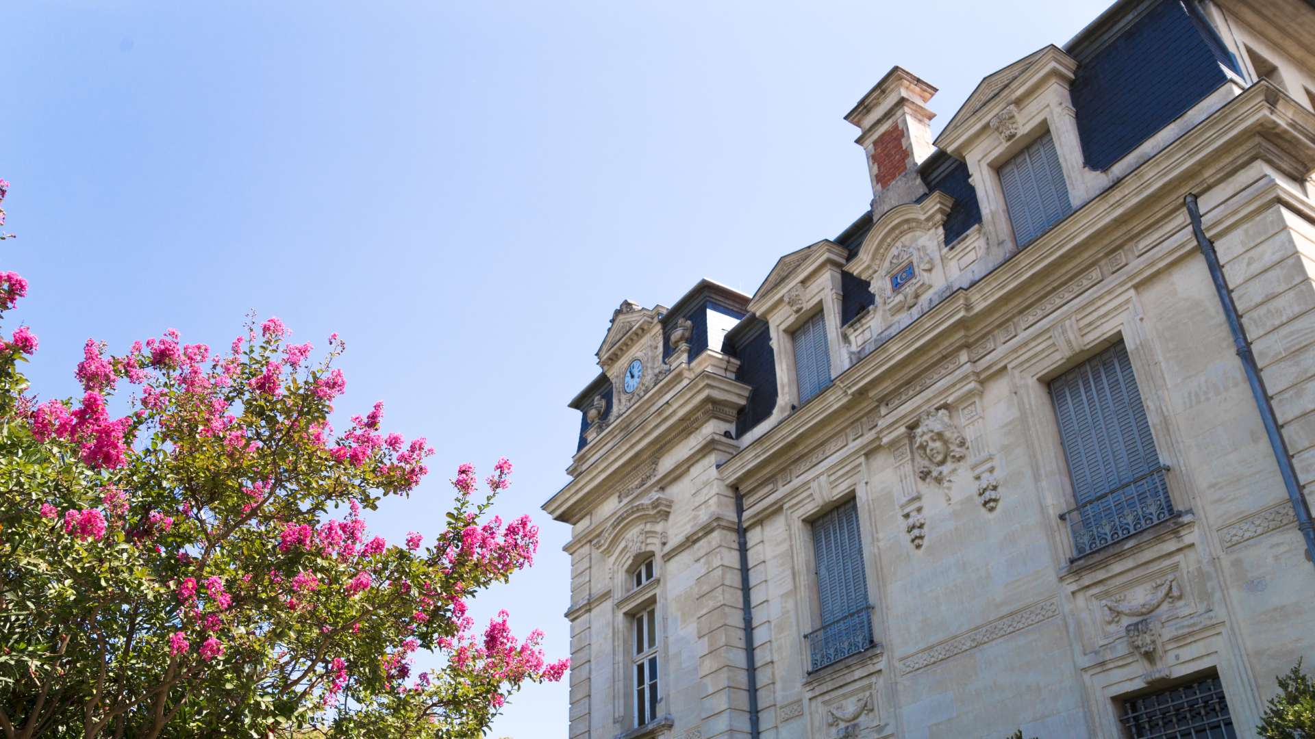 Bâtiment historique en pierre avec architecture classique et toit mansardé, entouré d’un arbre en fleurs sous ciel dégagé